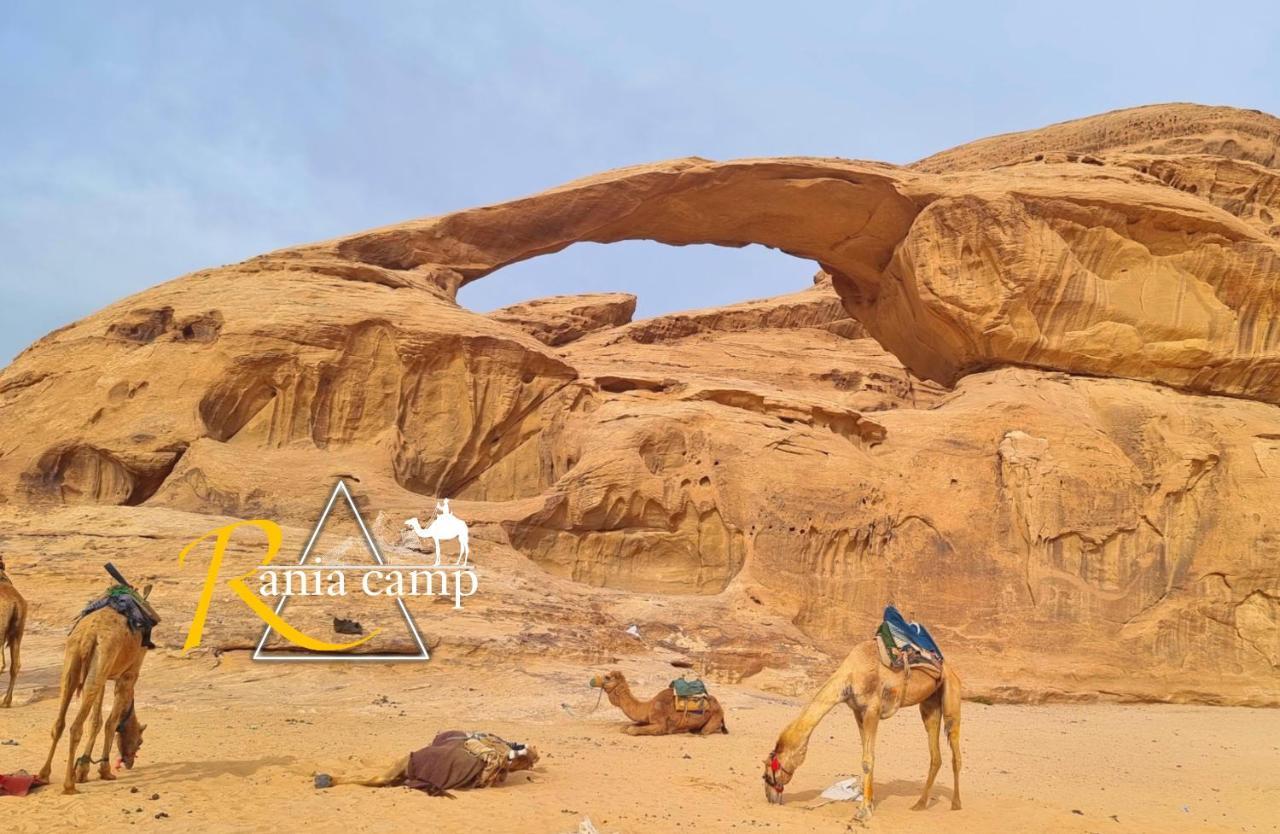 Wadi Rum,Rania Camp Exteriér fotografie