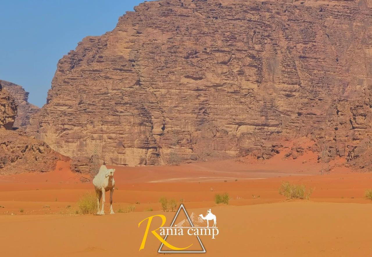 Wadi Rum,Rania Camp Exteriér fotografie
